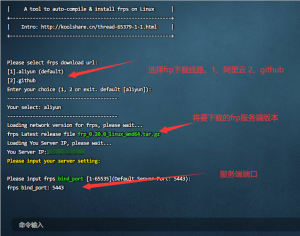 FRP实现腾讯云无备案用域名访问