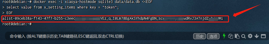 docker xiaoya部署后如何挂在到自己的alist